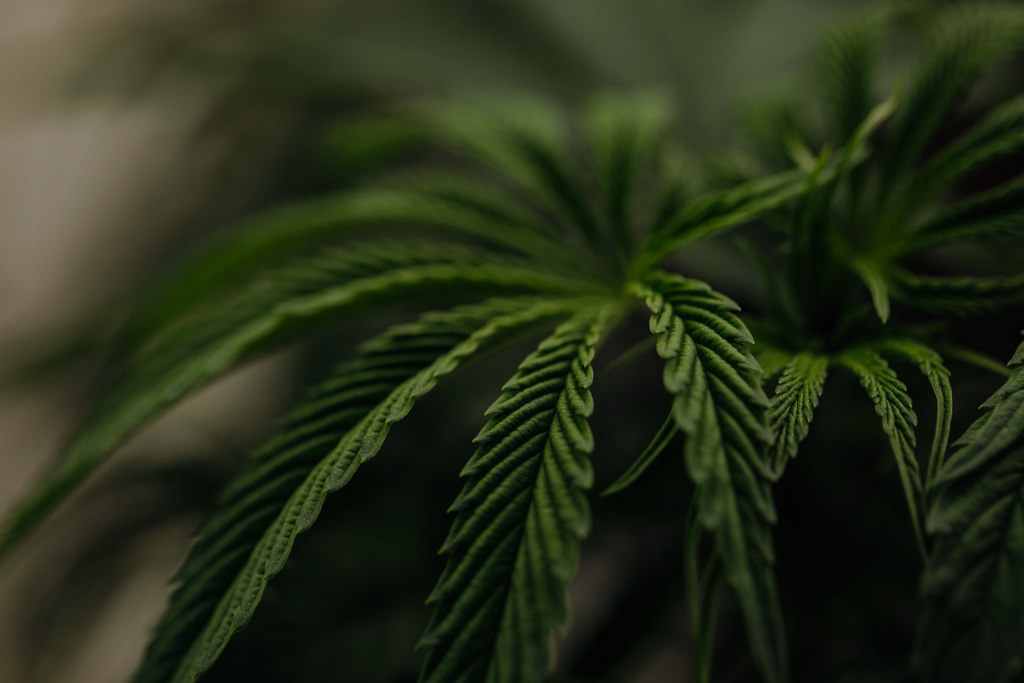 Columbia Care in Ohio